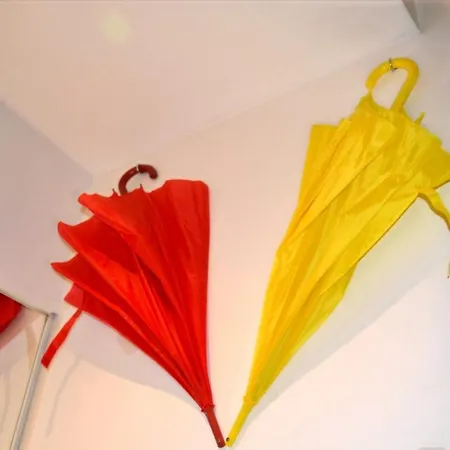 Un Jour D'ete A - Centre Unesco - 200 M Cathedrale - Parking - Animaux Acceptes * ألبي