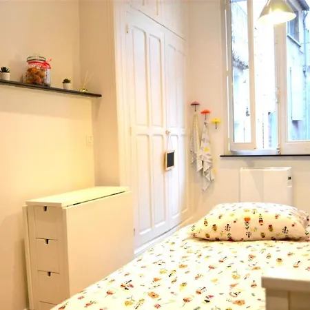 Appartement Un Jour D'ete A - Centre Unesco - 200 M Cathedrale - Parking - Animaux Acceptes Albi