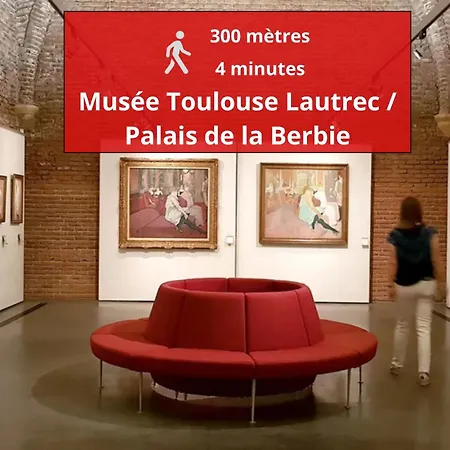 Un Jour D'ete A - Centre Unesco - 200 M Cathedrale - Parking - Animaux Acceptes * אלבי